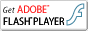 Get ADOBE FLASH PLAYER